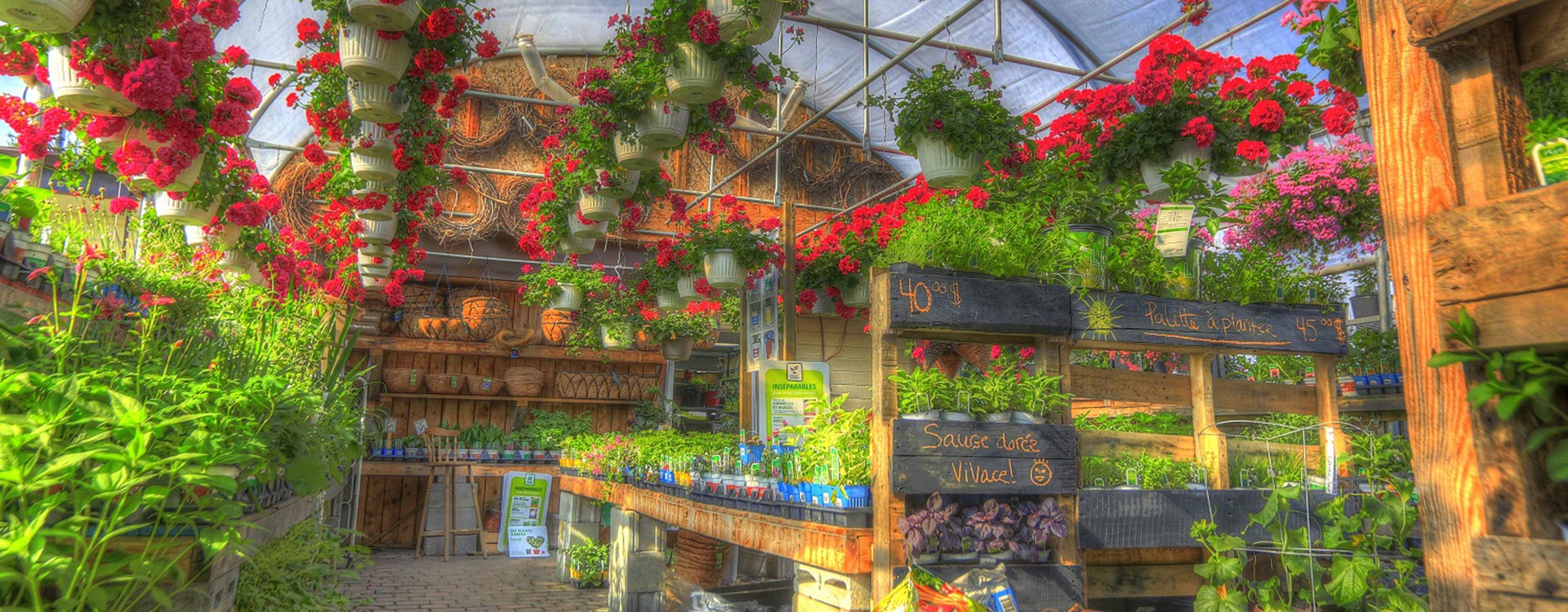 Pépinière, centre de jardin SainteAgathe, Laurentides La Jardinière