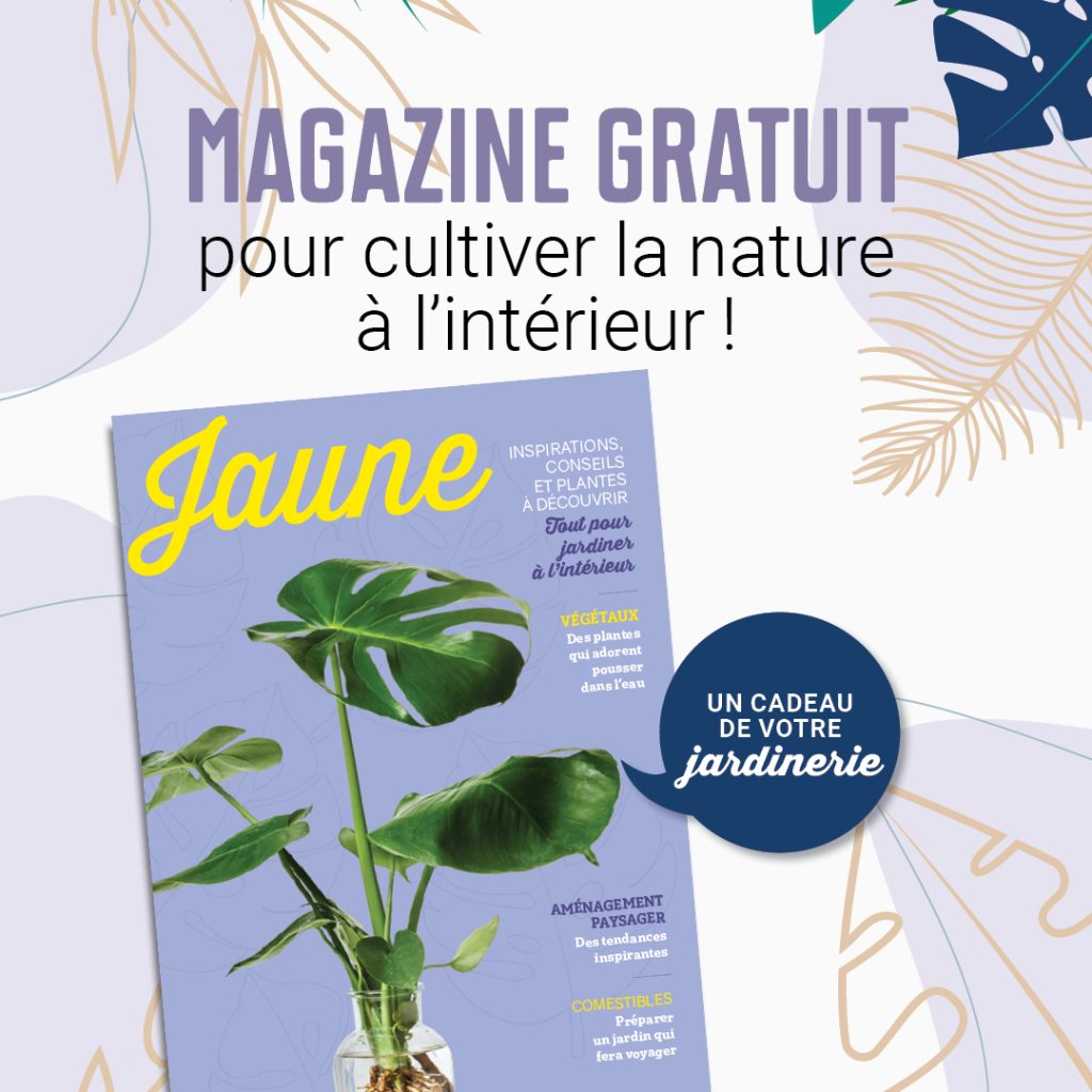 Jaune 2025
