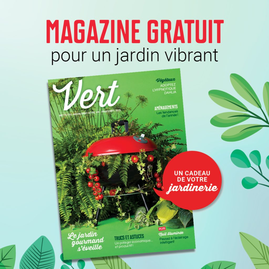 Vert 2025