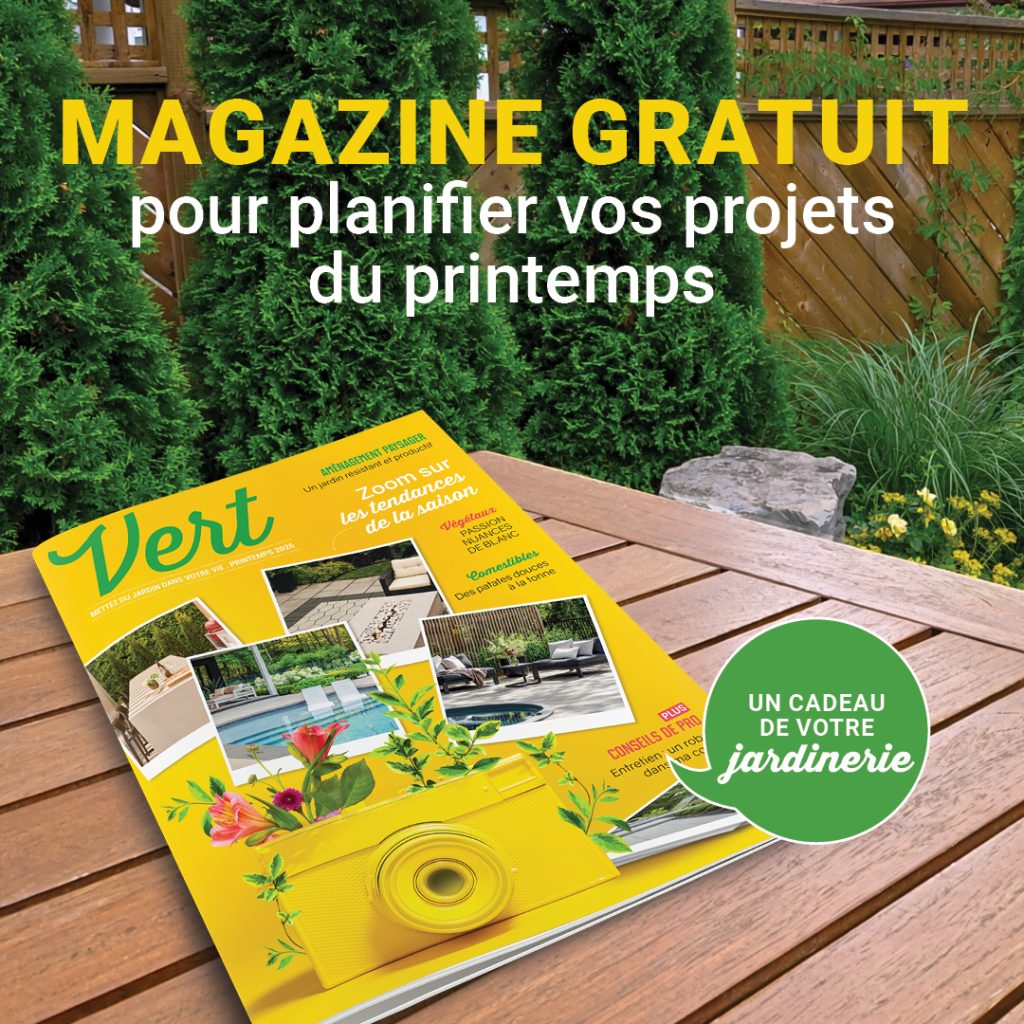 Vert 2026